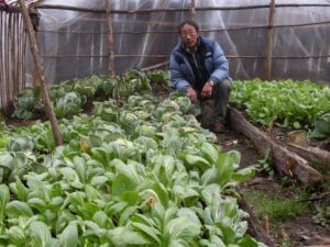 family greenhouse in Walung