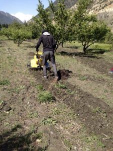 Mini tractors at work in Tserok