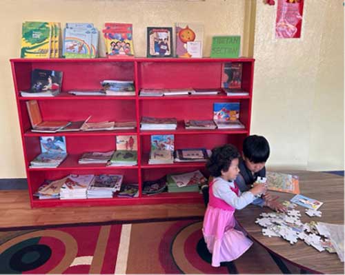 Library bookshelf